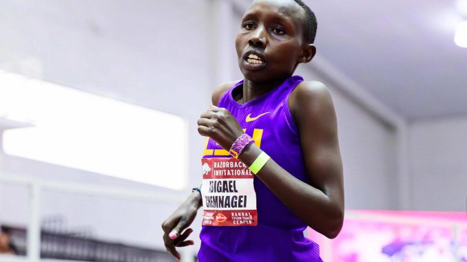 Abigael Chemnegai, LSU