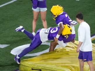 AJ Halcy, LSU safety